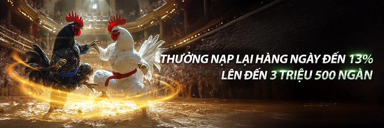 Banner khuyến mãi thể thao hz88